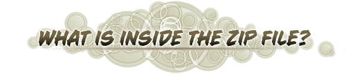 What is inside the Zip file?